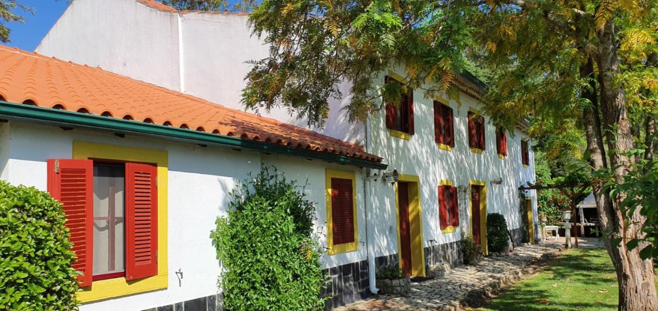 Quinta Flores Ferreira do Zêzere Exteriér fotografie