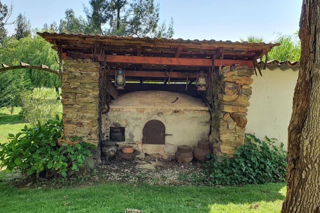 Quinta Flores Ferreira do Zêzere Exteriér fotografie