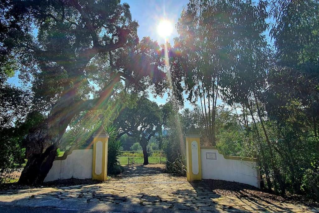 Quinta Flores Ferreira do Zêzere Exteriér fotografie