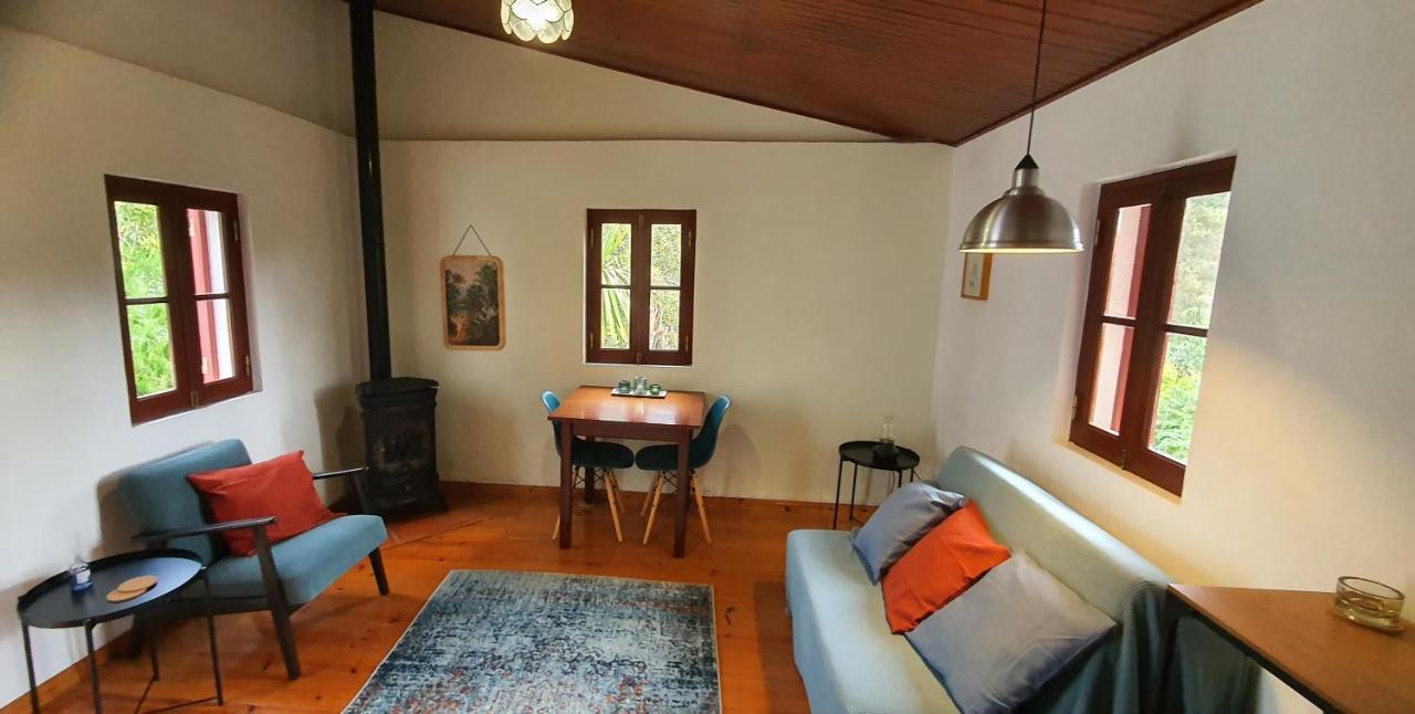 Quinta Flores Ferreira do Zêzere Exteriér fotografie