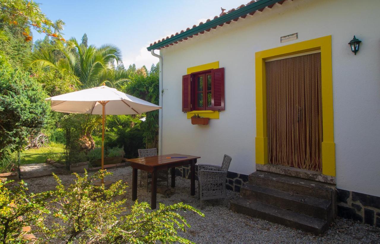 Quinta Flores Ferreira do Zêzere Exteriér fotografie